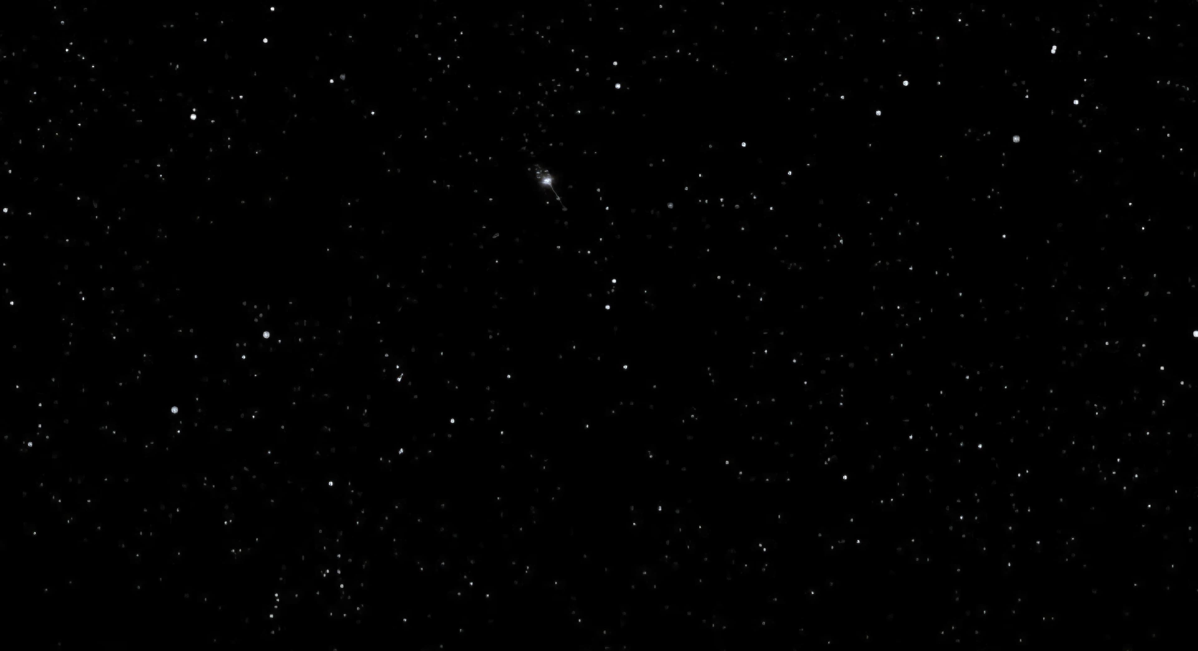 Starfield Background